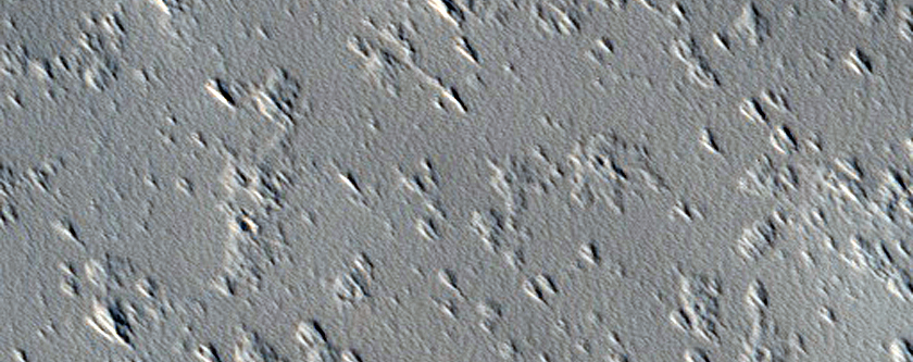 Candidate New Impact Formed between July 2006 and January 2010