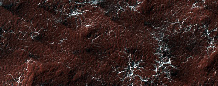 Spider Terrain