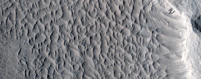 Ridges in Schiaparelli Crater