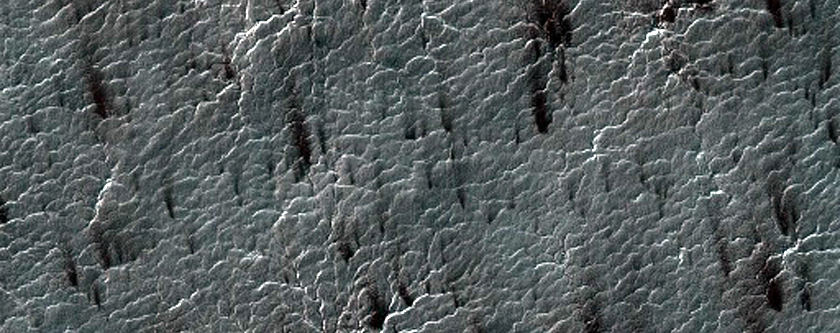 Spider Terrain