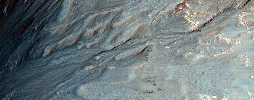 Small Fresh Crater with Many Gullies
