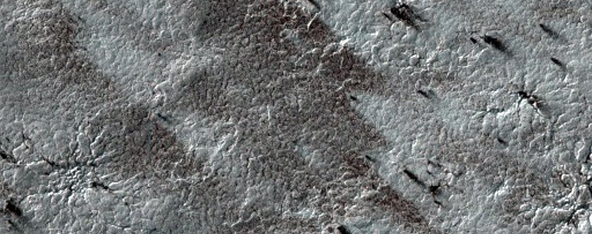 Spider Terrain