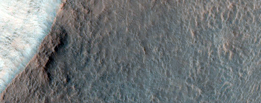 Olivine-Rich Crater in Terra Sirenum