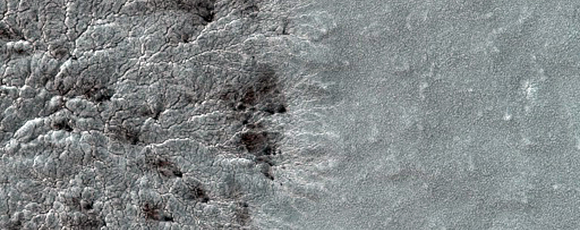 Monitoring Seasonal Changes at South Polar Cracked and Gullied Site