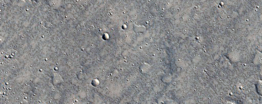 Elysium Region Sample