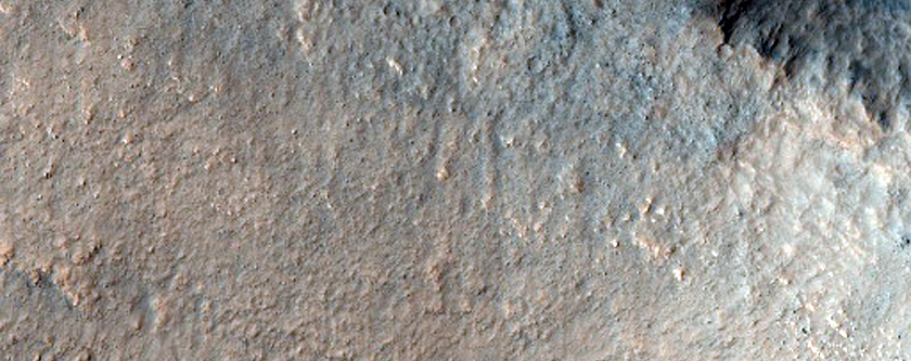 Gullied Crater Wall