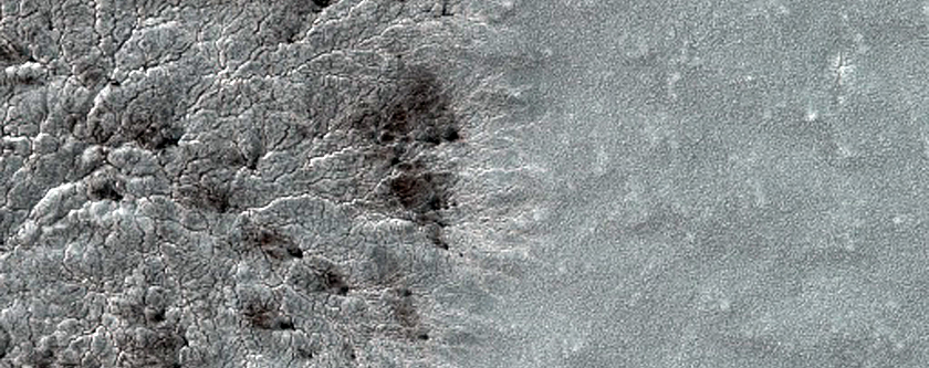 Monitoring Seasonal Changes at a South Polar Cracked and Gullied Site