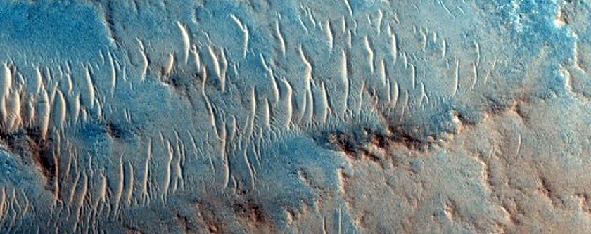 Streamlined Island and Channel in East Part of Lobo Vallis