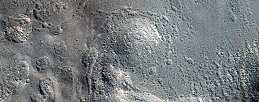 Small and Fresh Crater