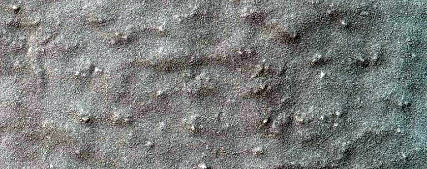 Monitoring Seasonal Changes at South Polar Cracked and Gullied Site