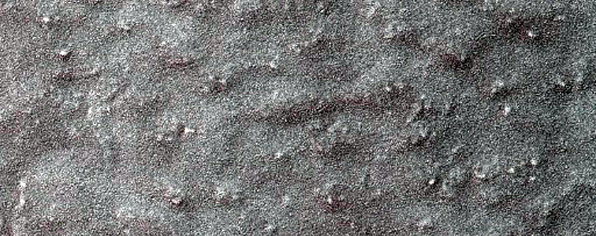 Monitoring Seasonal Changes at South Polar Cracked and Gullied Site