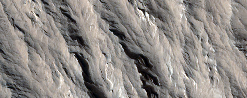 Mass Wasting in Olympus Mons Aureole
