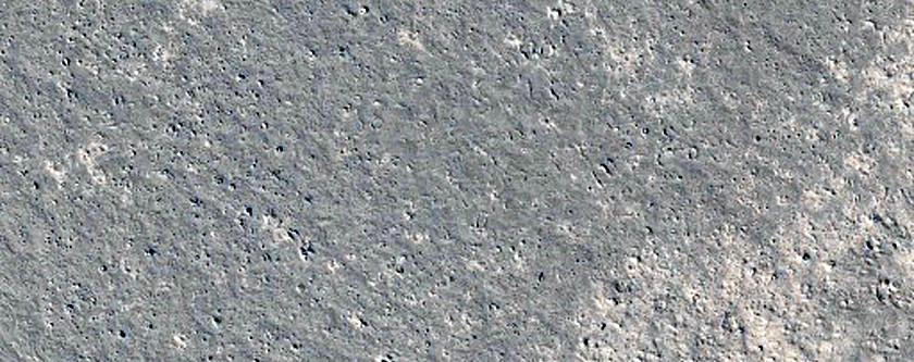 Circular Features in Western Elysium Planitia