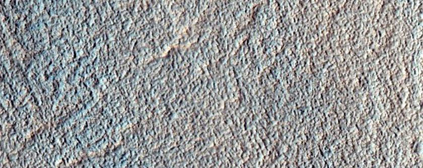 Well-Preserved 10-Kilometer Diameter Gullied Impact Crater