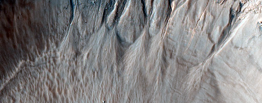 Gullies with Tributary Channels in Gorgonum Chaos Crater