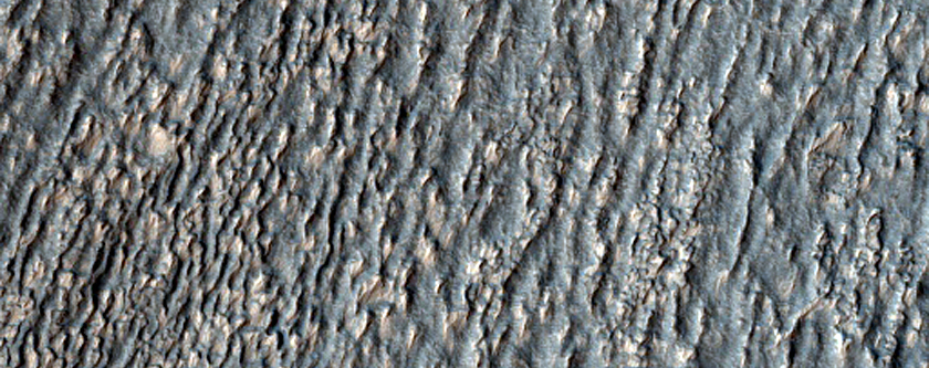 Lobate Crater Fill in Southeast Hellas Montes