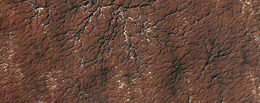 Spider Terrain