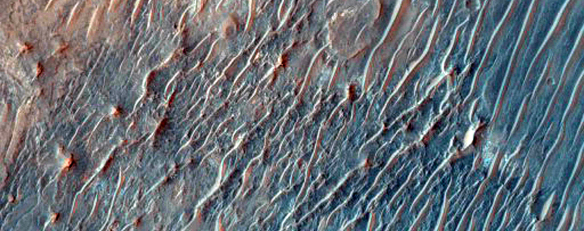 Gullied Crater