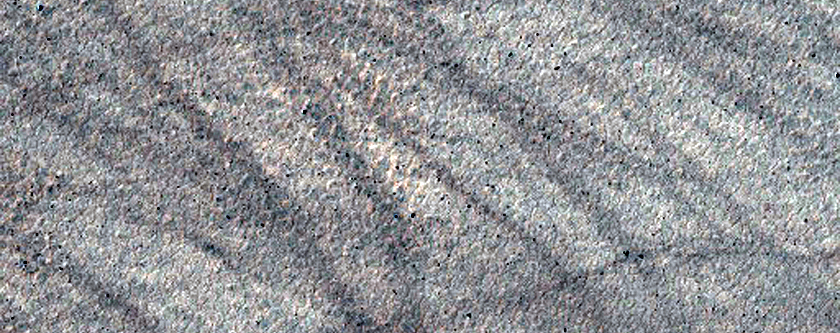 Terrain Sample