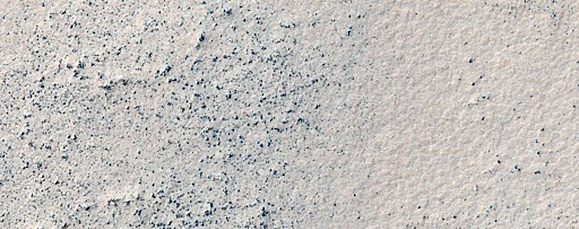Terrain Sample