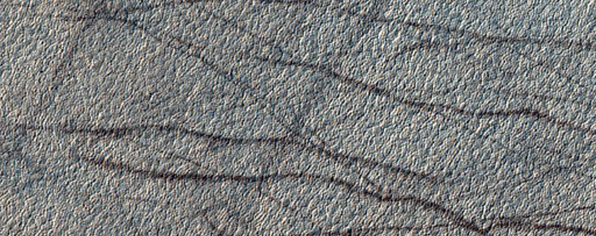 Terrain Sample