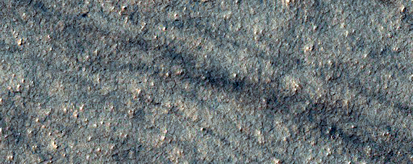 Terrain Sample