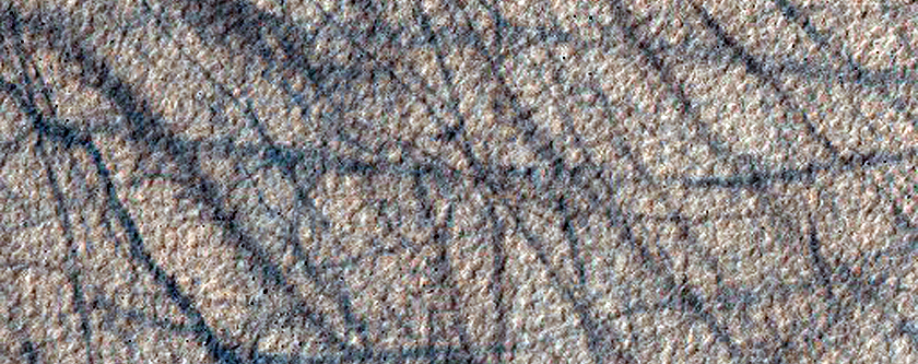 Terrain Sample