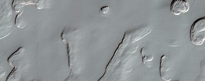 South Pole Residual Cap Monitoring Site