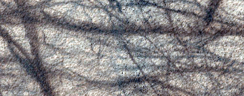 Terrain Sample