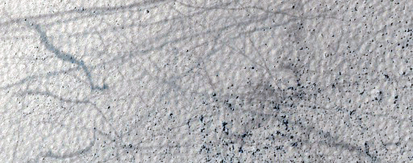 Terrain Sample
