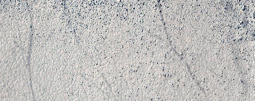 Terrain Sample