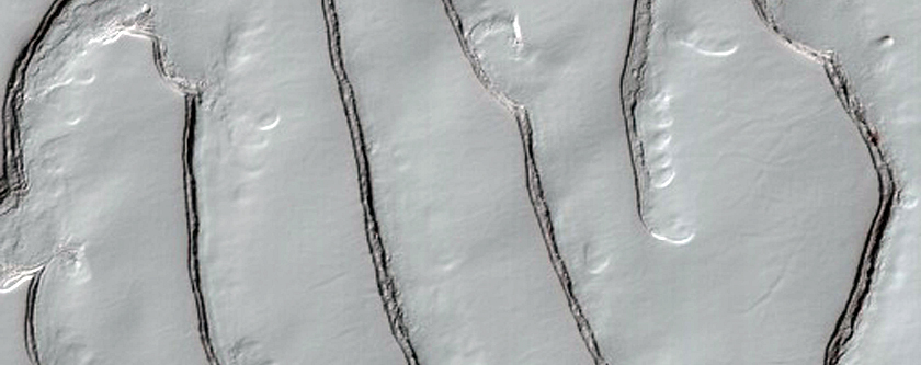 Fingerprint Terrain with Sawtooth Pattern