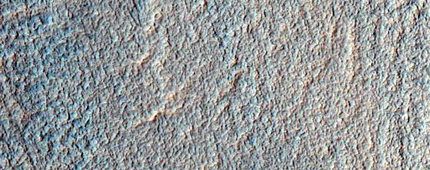 Well-Preserved 10-Kilometer Diameter Gullied Impact Crater