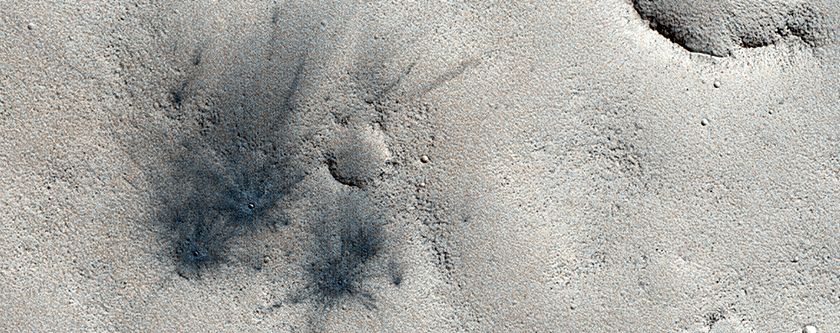 Un gruppo di crateri da impatto di recente formazione