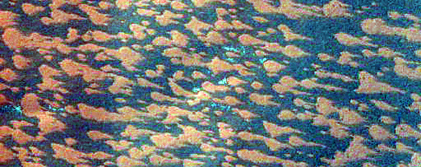 Filled Crater in South Polar Region