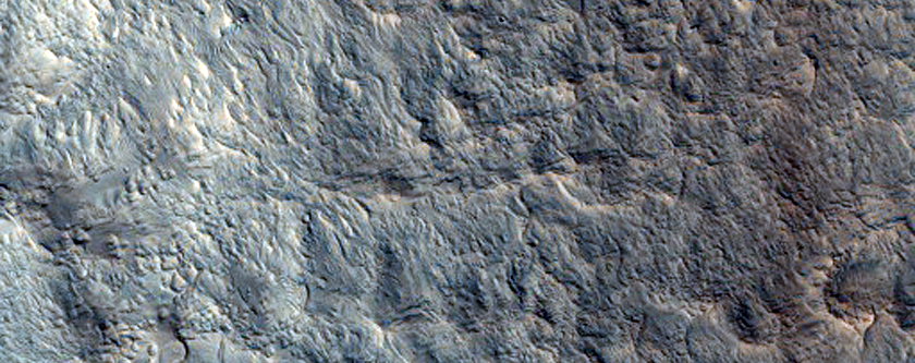Light-Toned Fan-Like Features in Crater in Chryse Chaos