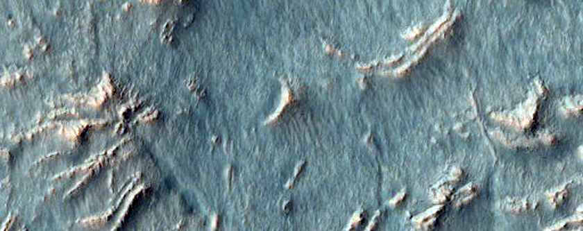 Gullies with Light-Toned Apron Material