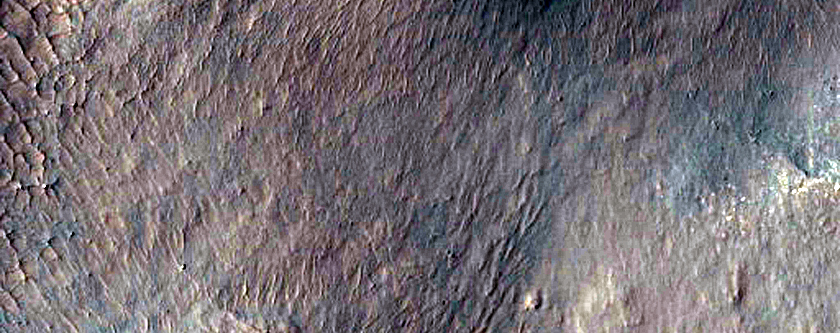 Gully Monitoring