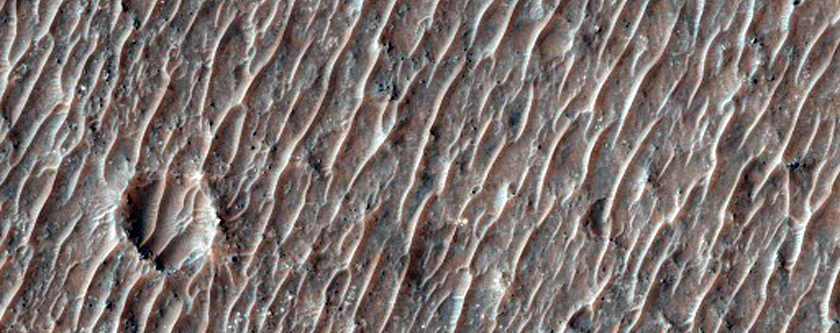 Possible Olivine-Rich Crater Fill in Terra Sirenum