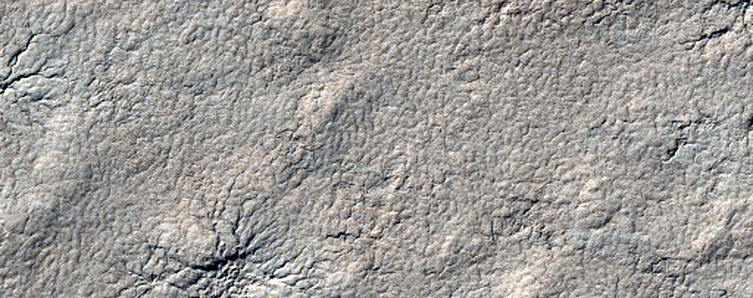 Spider Terrain
