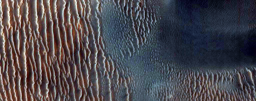 Proctor Crater Dune Margin Changes