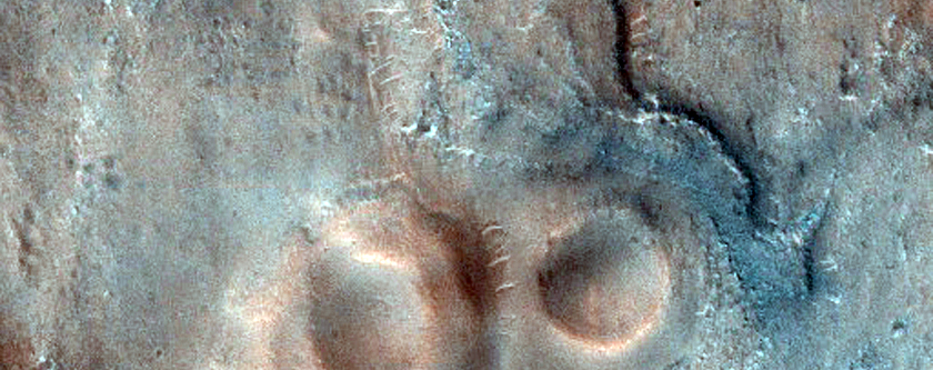 Possible Rootless Cones in Acidalia Planitia