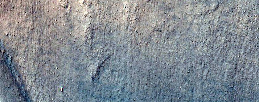 Gullied Crater and Bedforms in the Nereidum Montes