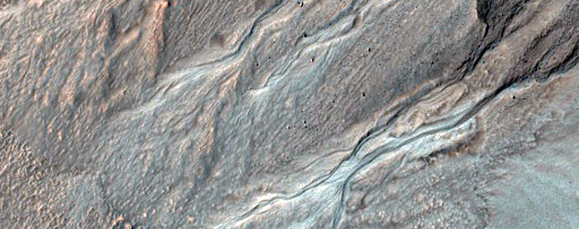 Gullies and Lobate Material in a Crater in Nereidum Montes
