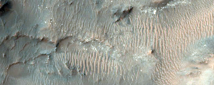 Active Gullies