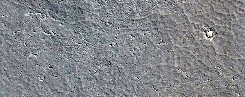 Three Odd Circular Features in Western Elysium Planitia
