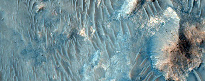 Central Uplift of a Large Impact Crater
