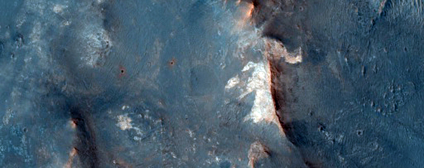 CRISM Detection of Olivine in Syrtis Major