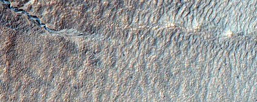 Young Gully on Older Filled Gullies
