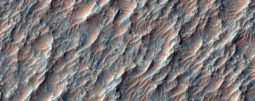 Olivine-Rich Geologic Contact in Terra Sirenum